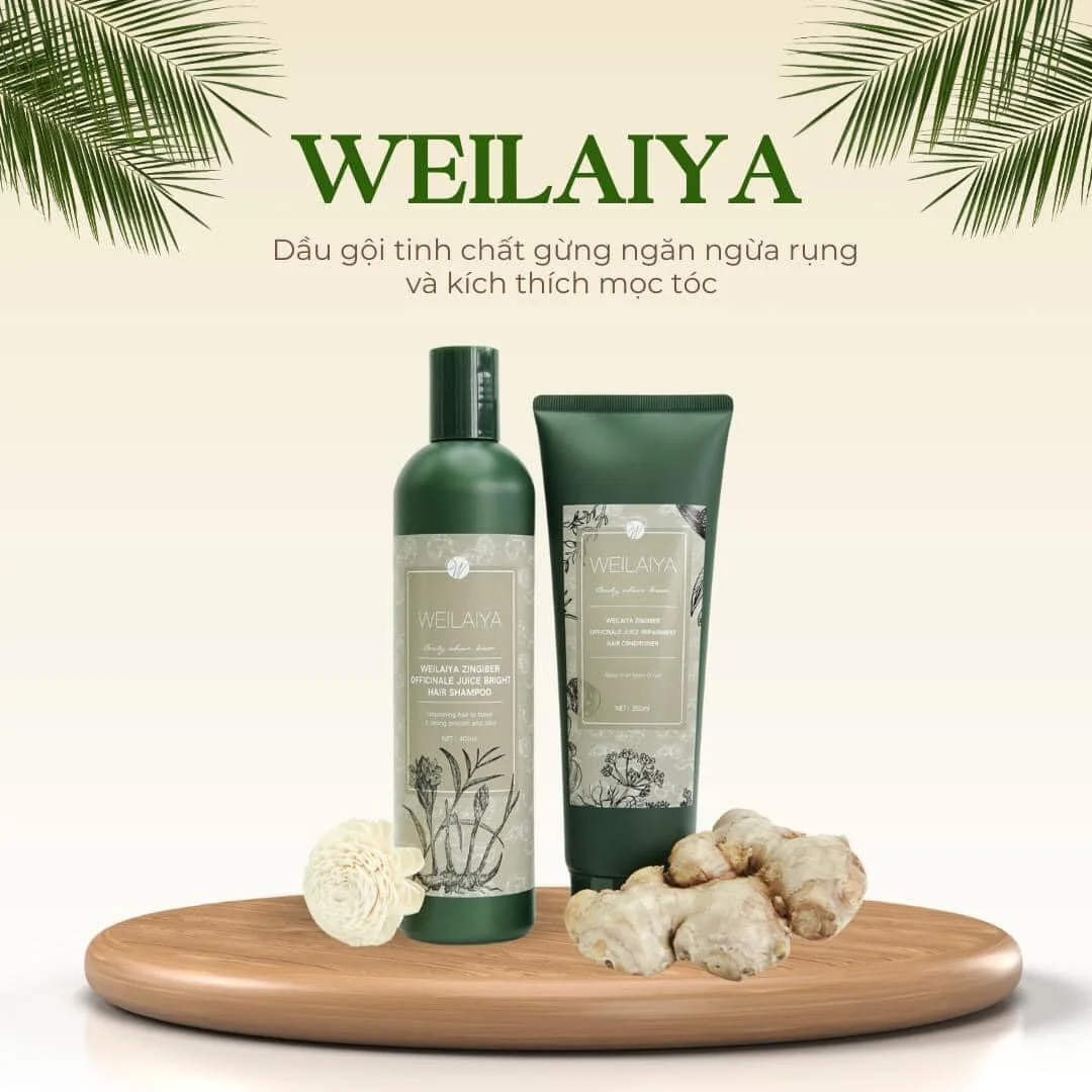 Cặp Dầu Gội Xả Gừng Hà Thủ Ô Weilaiya 400ml/200ml - Da Khô